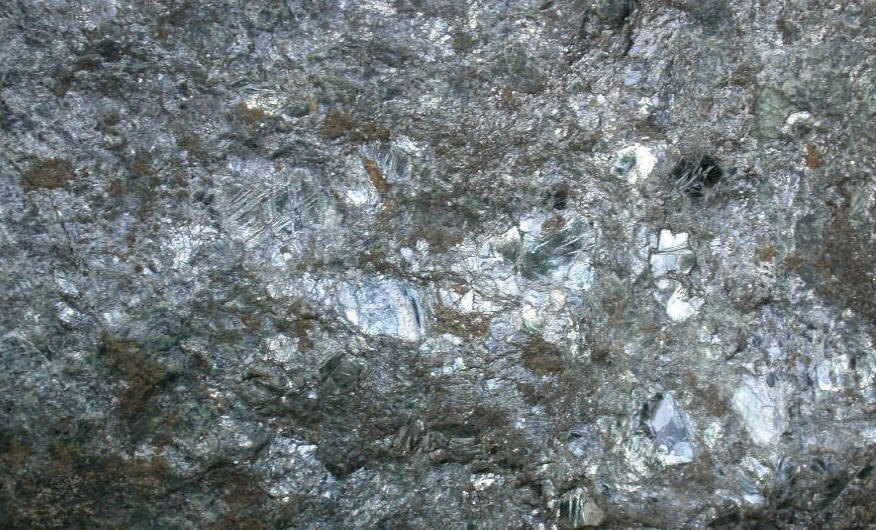 Fig8_23p_2.jpg
