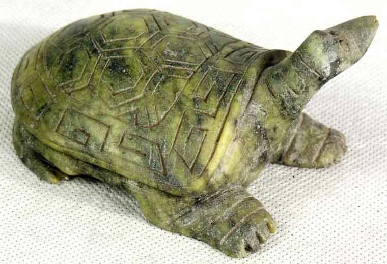 Fig8_23p_3.jpg