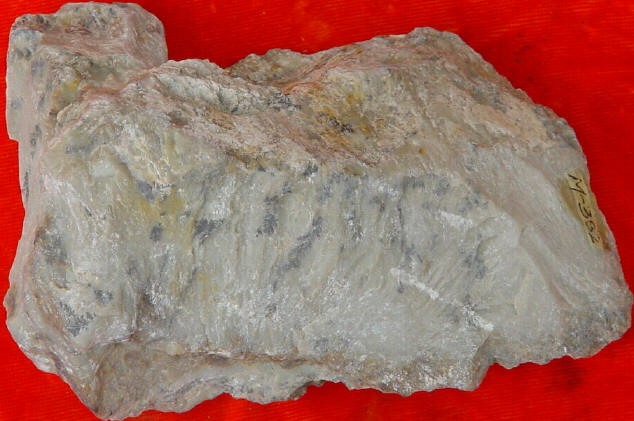 Fig8_23p_9.jpg