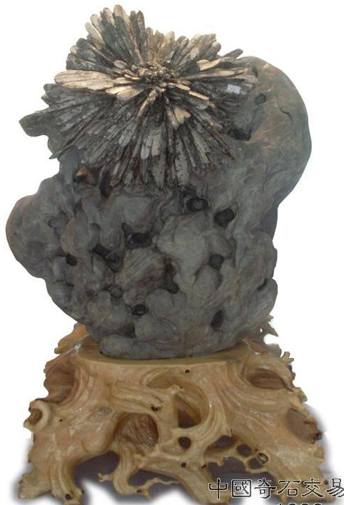 Fig8_25_3.jpg