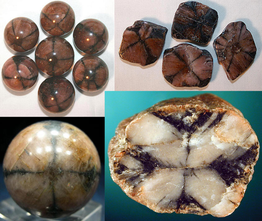Fig8_26.jpg