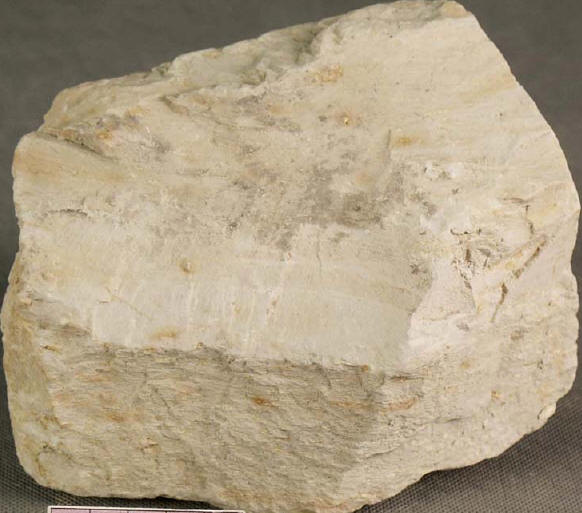 Fig8_25p.jpg