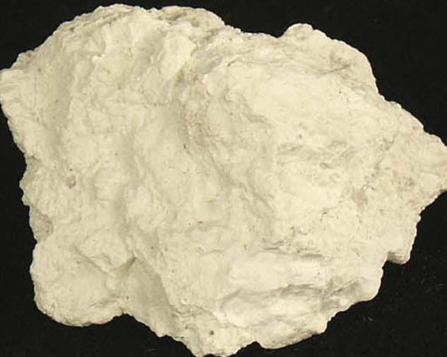 Fig8_25p_3.jpg