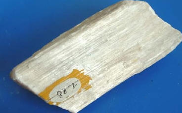 Fig8_28.jpg