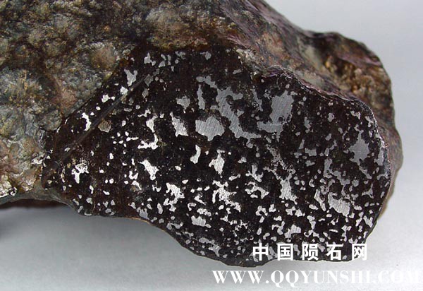 NWA-2993_3.3_cm.jpg