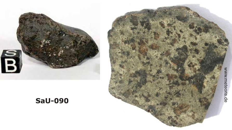 SAU-090.jpg
