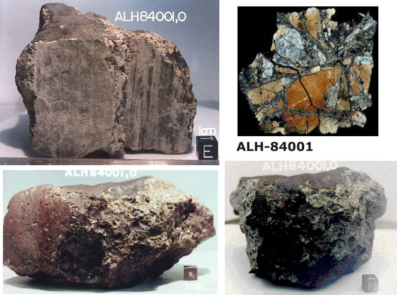 ALH-84001.jpg