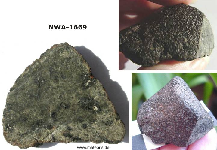 NWA-1669.jpg