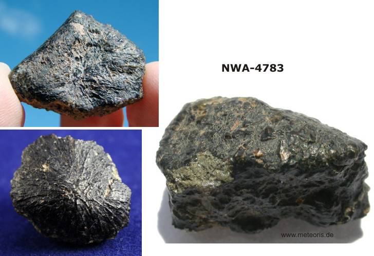 NWA-4783.jpg
