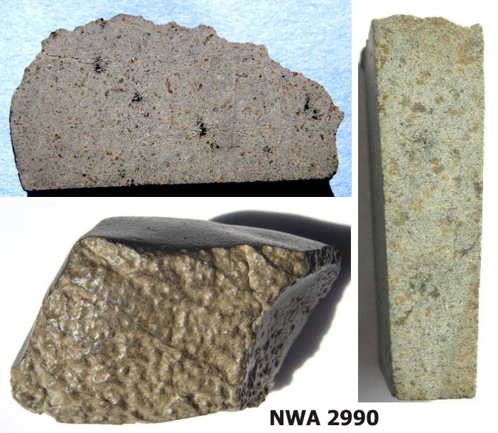 NWA-2990.jpg