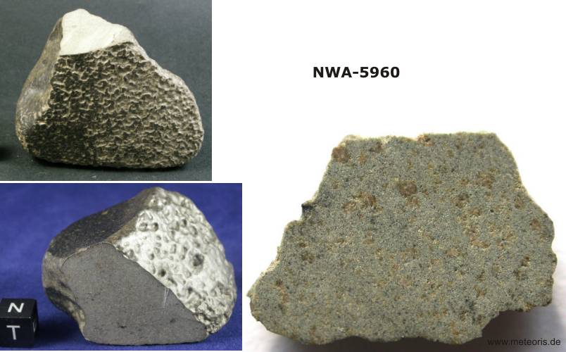 NWA-5960.jpg