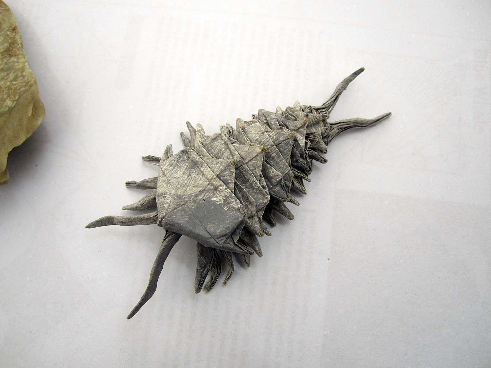 trilobite1三叶虫.jpg