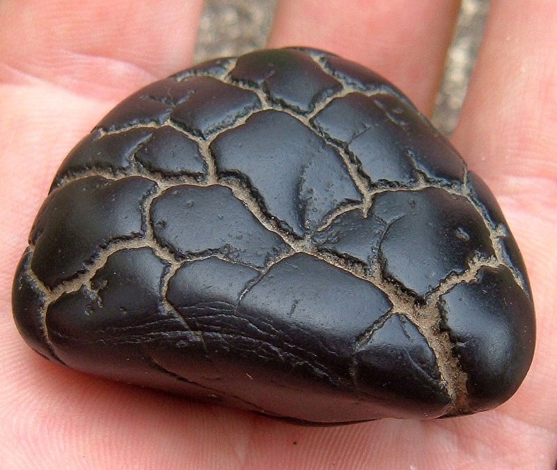 concretion_adam.jpg