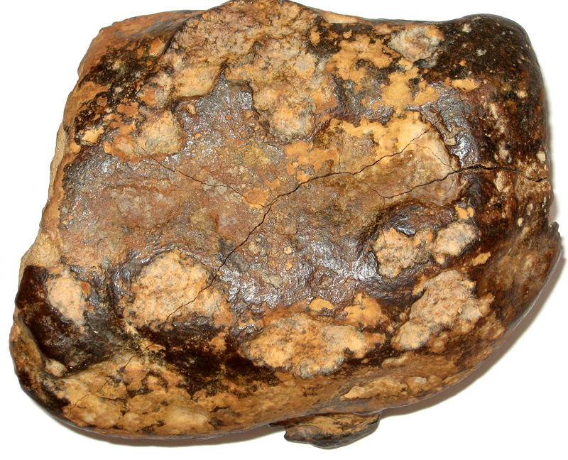 concretion_john_img_3111.jpg