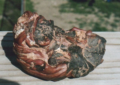 concretion_happyjack2.jpg