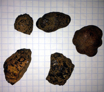concretion_monir_mexico.jpg