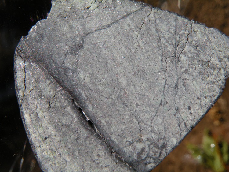 DSCN2177.jpg