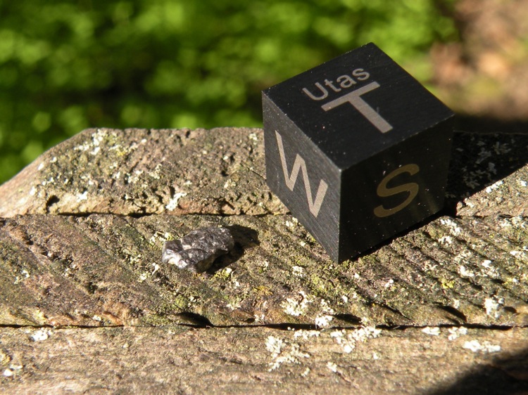 DSCN3798.jpg