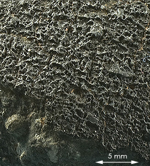 Fusion crust meteorite 43k Allende.jpg