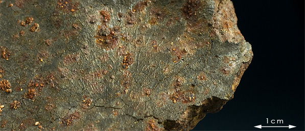 Fusion crust meteorite 38 SAU 001 .jpg