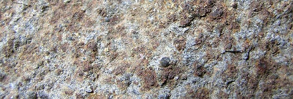 chondrules chondrite 1.jpg