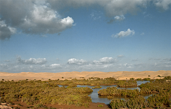 Wadi_draa_597.jpg