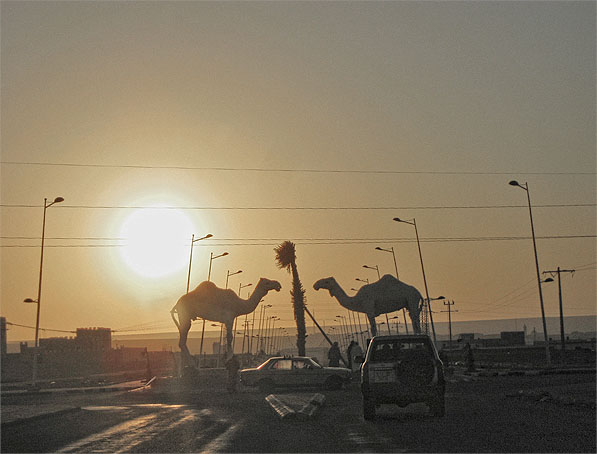 Tan_Tan_Morocco_597.jpg