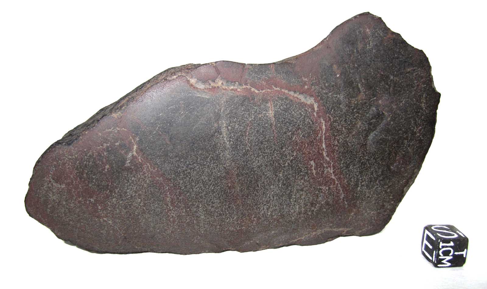 N1.jpg