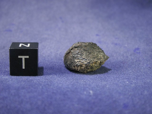 nwa6963_03_1.jpg