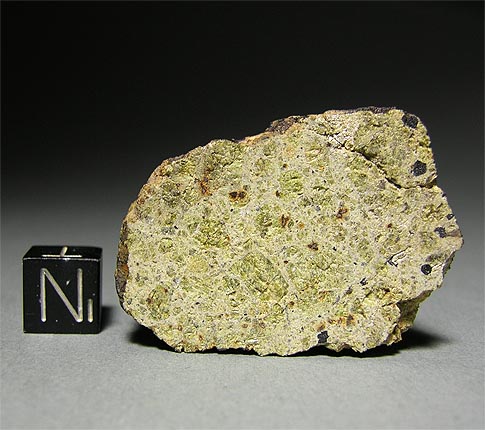 meteorite diogenite endcut 485.jpg