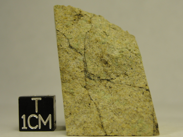 ALG-0001_-_04.14991730_large.jpg