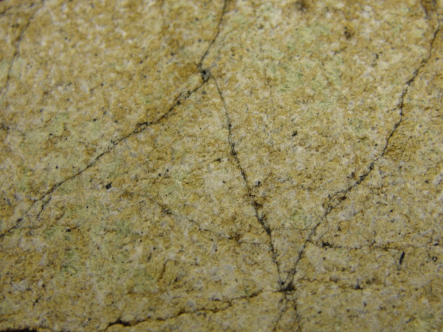 ALG-0007_-_12.284200442_large.jpg