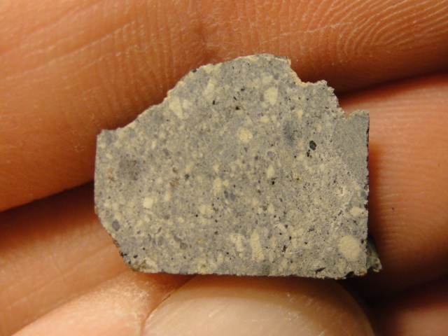 G195-0008_-_04.201153718_large.jpg