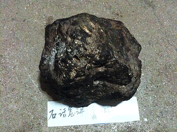 照片 010.jpg