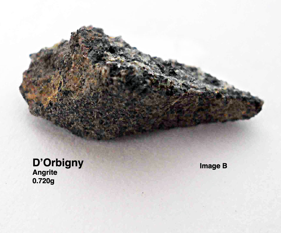 D'Orbigny0.72gB.jpg