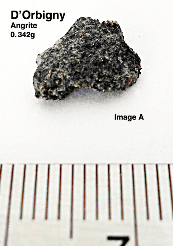 D'Orbigny0.342gA.jpg