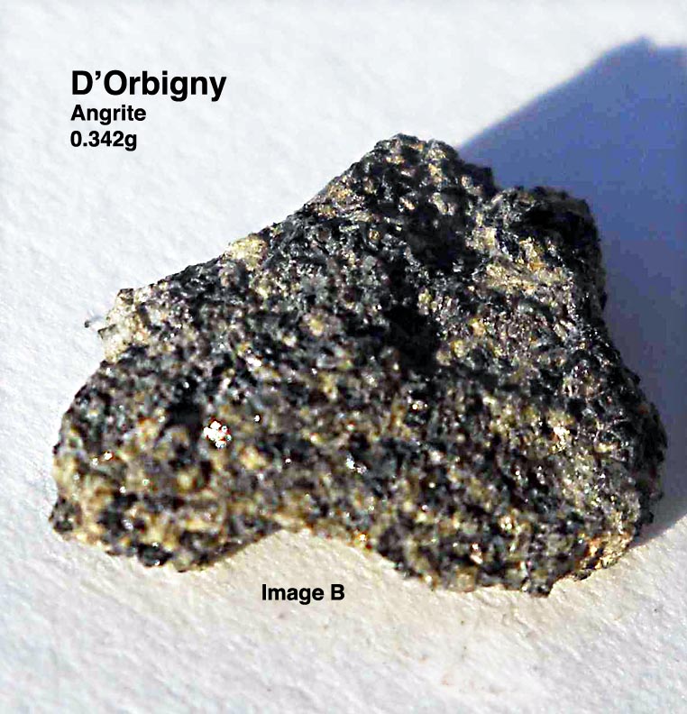 D'Orbigny0.342gB.jpg