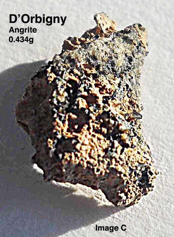 D'Orbigny0.434gC.jpg