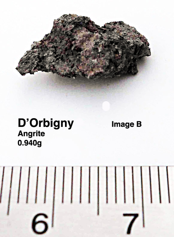 D'Orbigny0.940gB.jpg