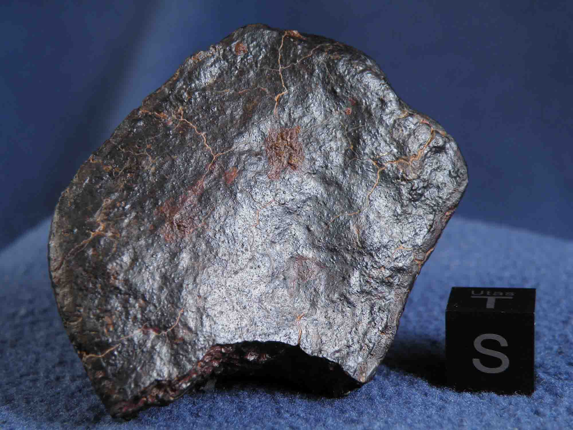 DSCN5436.jpg