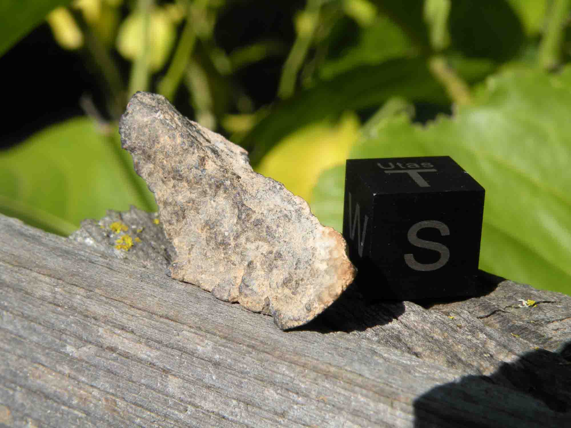 DSCN3824.jpg
