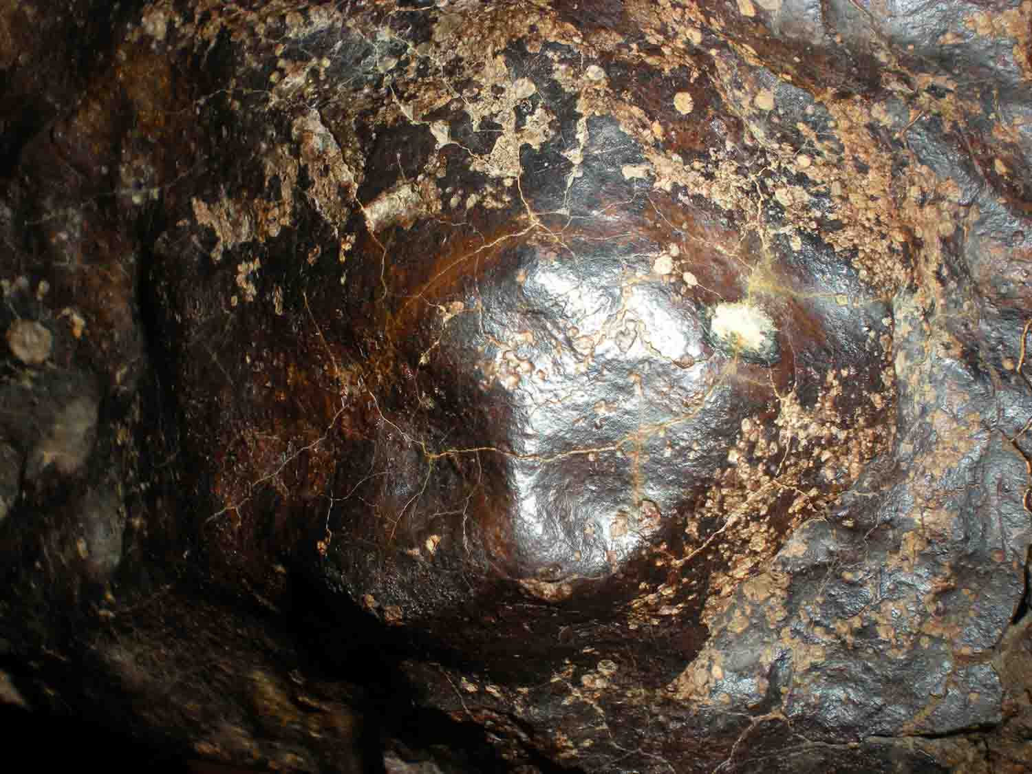 DSCN2646.jpg