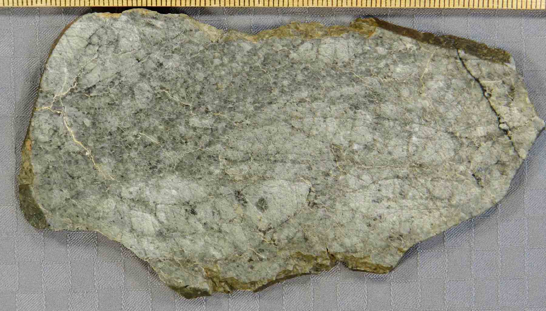 lm_nwa3163_1062xl.jpg