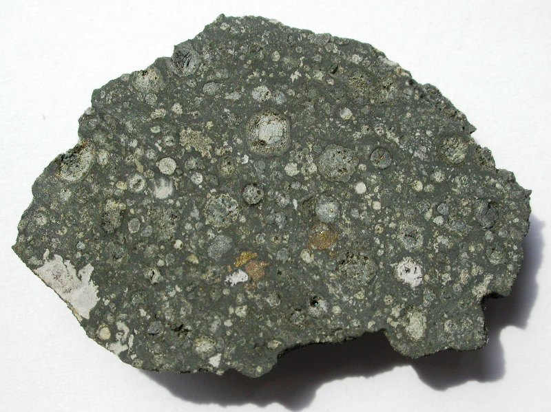 Allende-CV.jpg