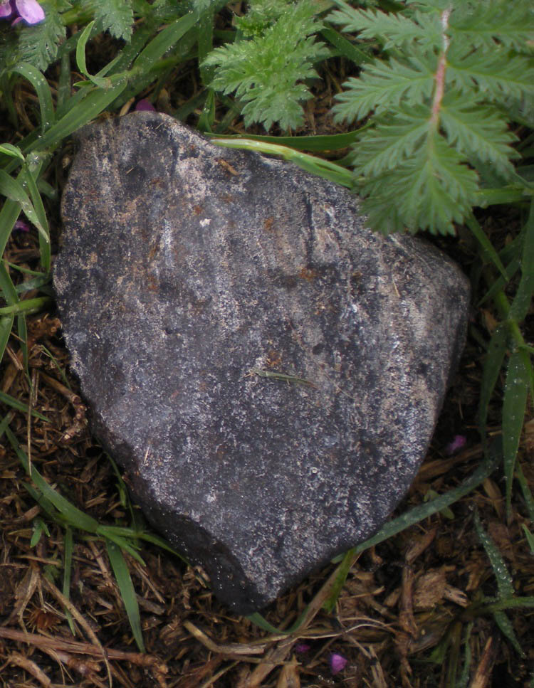 DSCN1843-1.jpg