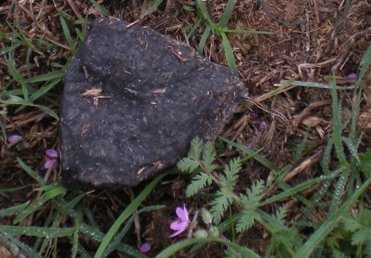 DSCN1848.jpg