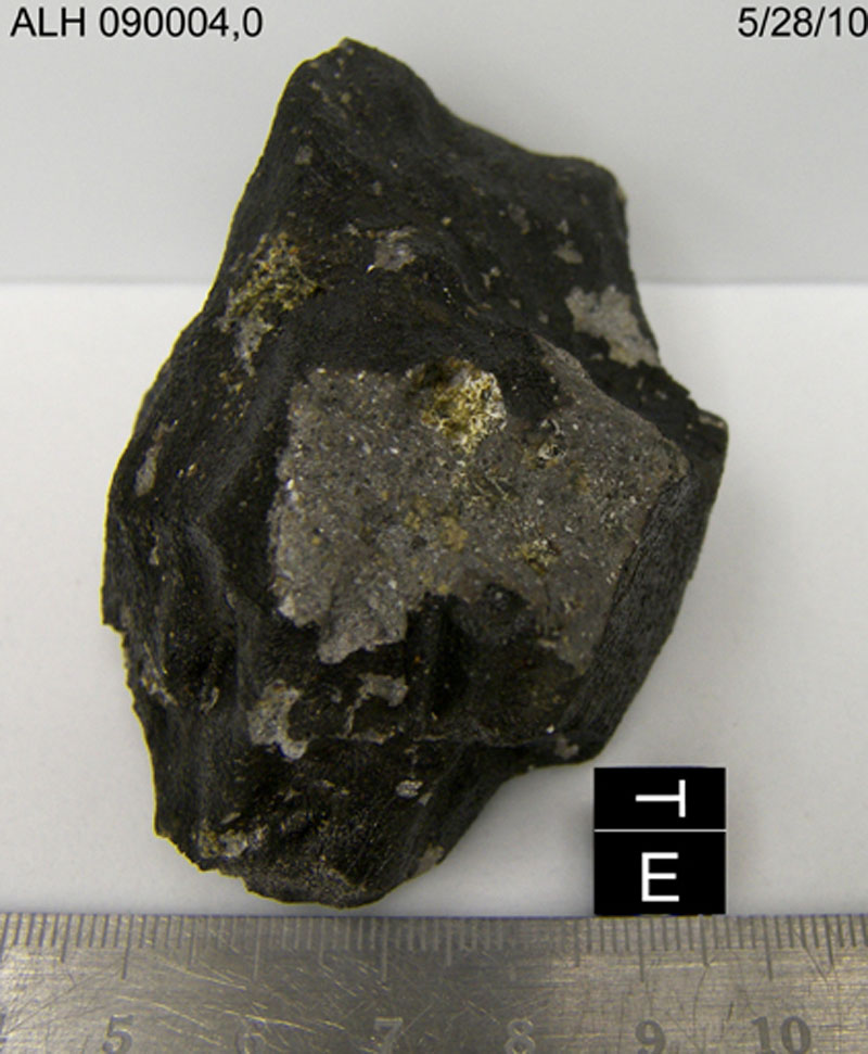 ALH090004,0TE.jpg