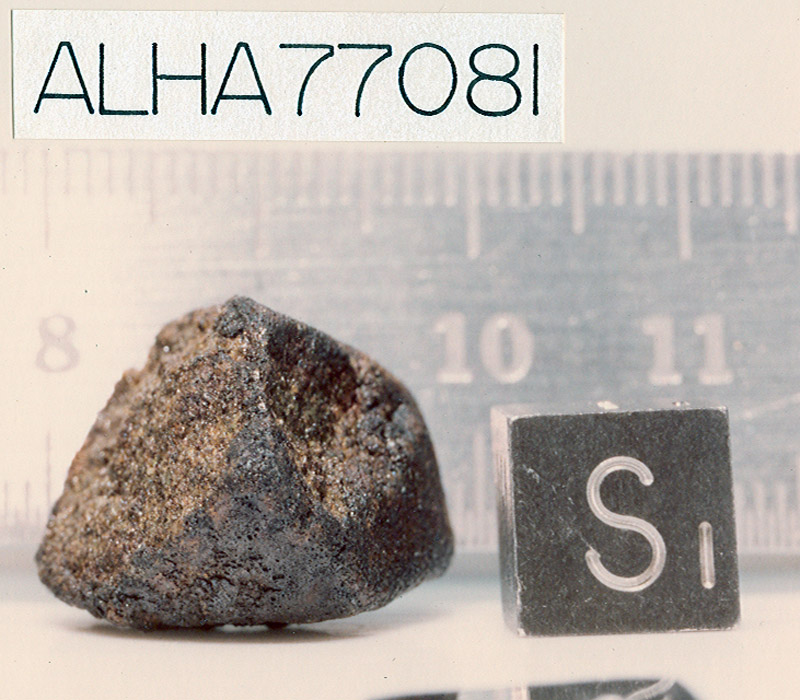 ALHA77081B.jpg