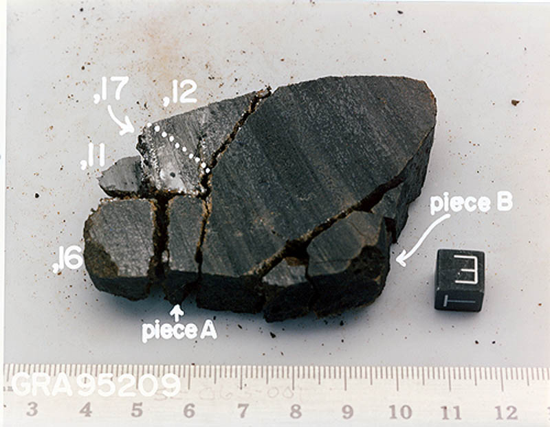 GRA95209c.jpg