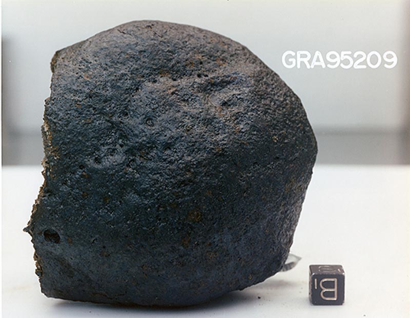 GRA95209f.jpg